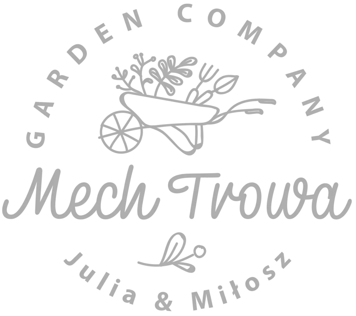 Logo Mech Trowa