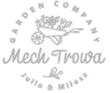 Mech trowa